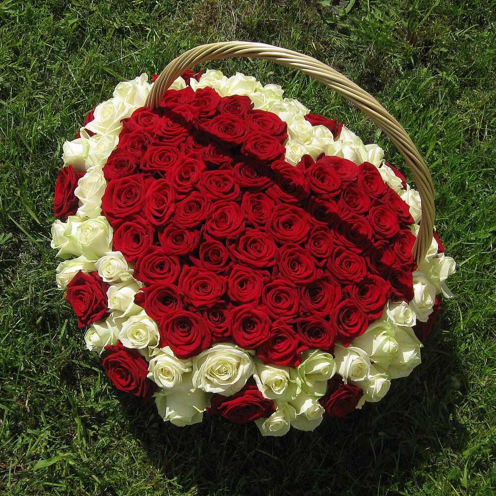 Корзина из 101 розы 