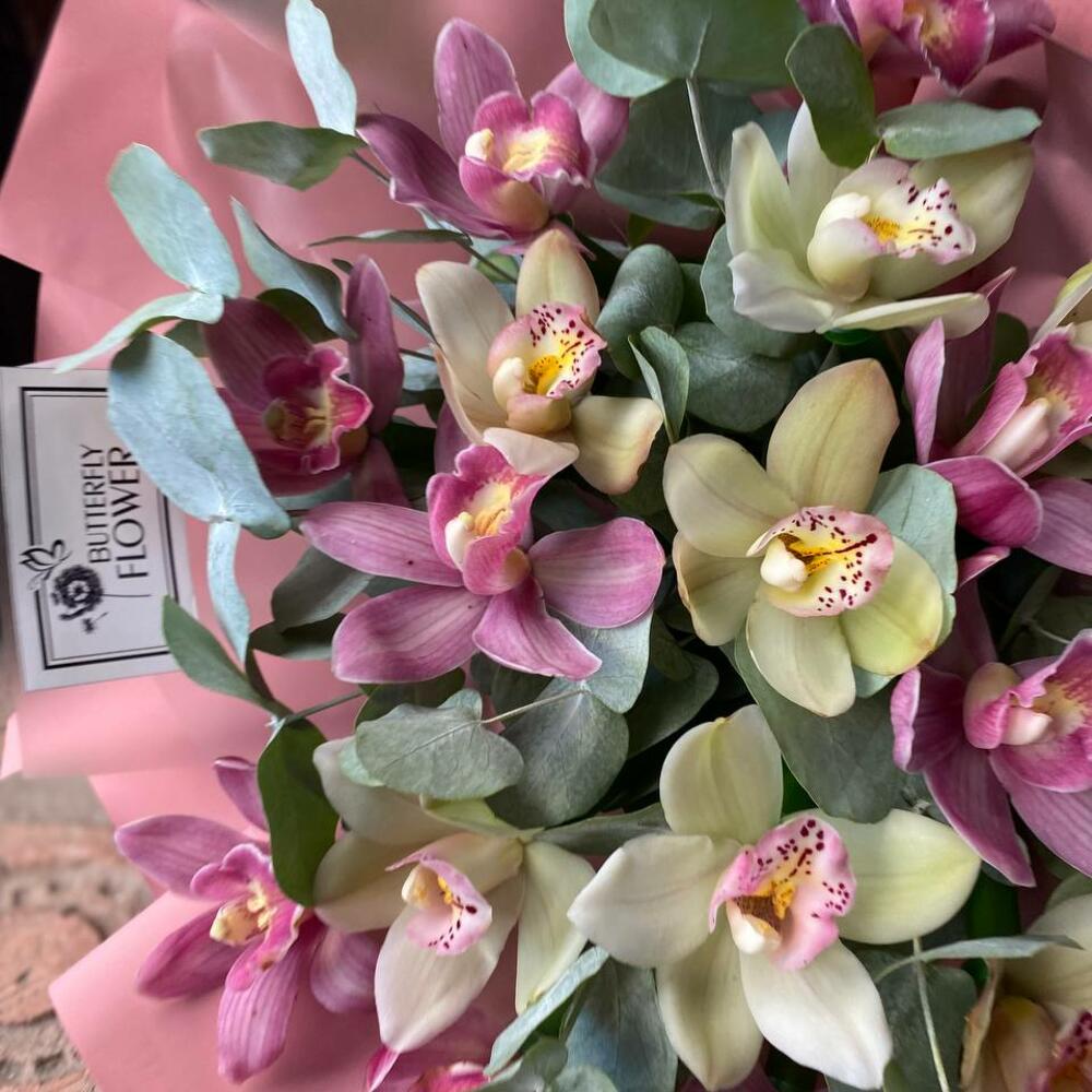 Букет из 17 белых и розовых орхидей с эвкалиптом в стильной упаковке 
