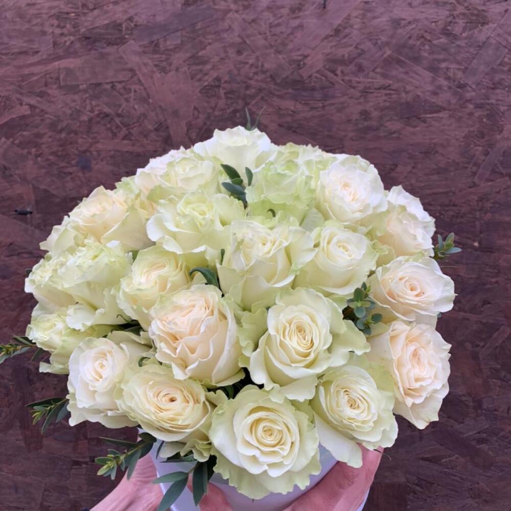 Шляпная коробка из 25 белых роз "Мондиаль" Шляпная коробка из 25 белых роз "Мондиаль"