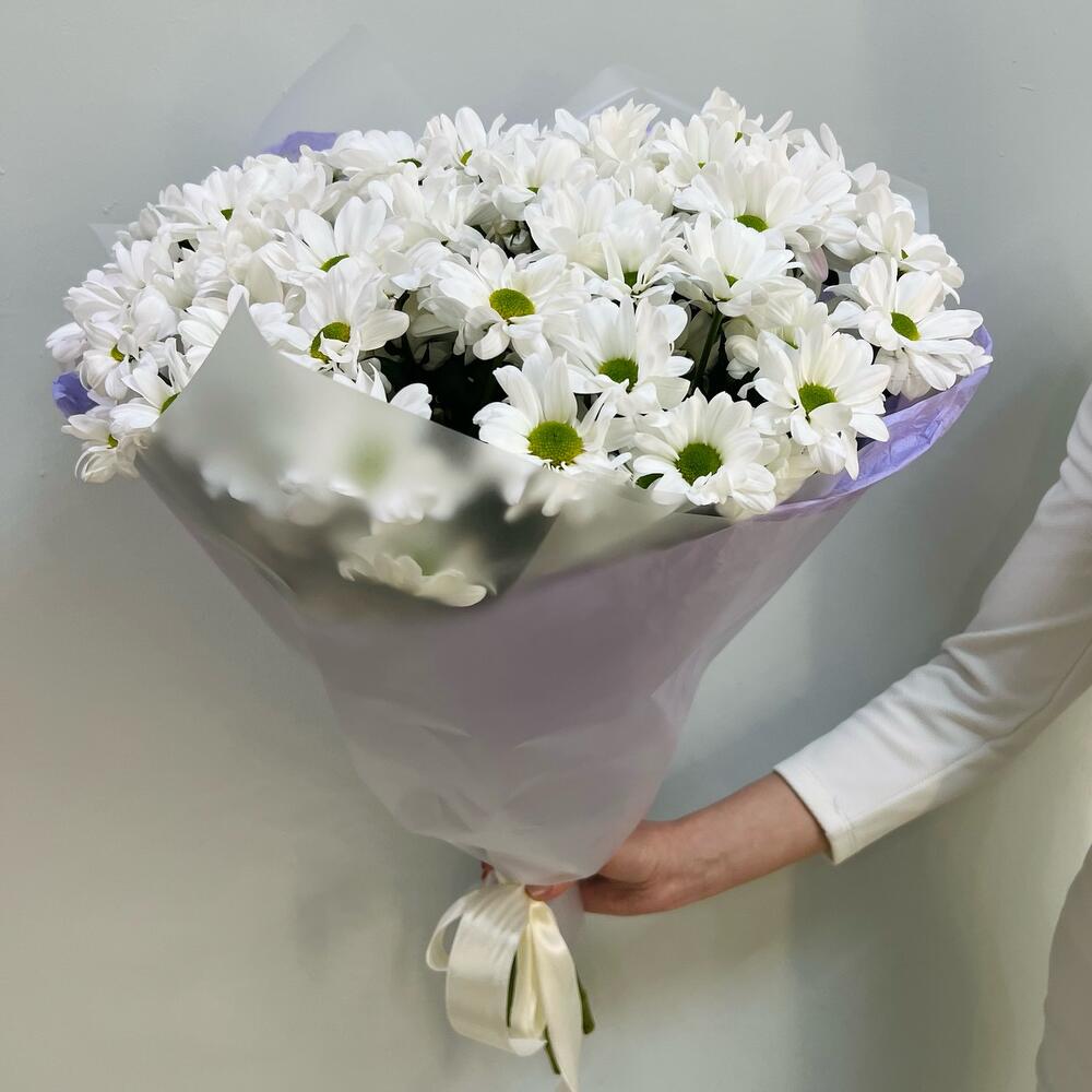 Хризантема белая кустовая Хризантема белая кустовая