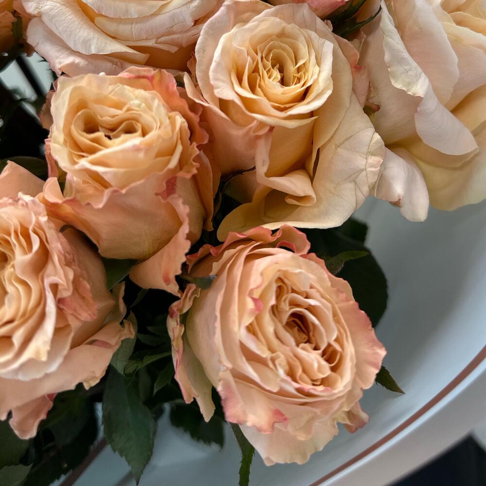 Стойкие розы (стойкость 2-4недели) Стойкие розы (стойкость 2-4недели)