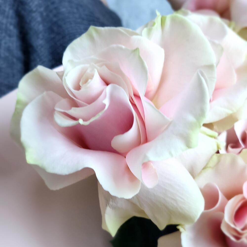 Розовое золото Букет из роз Розовое золото Букет из роз