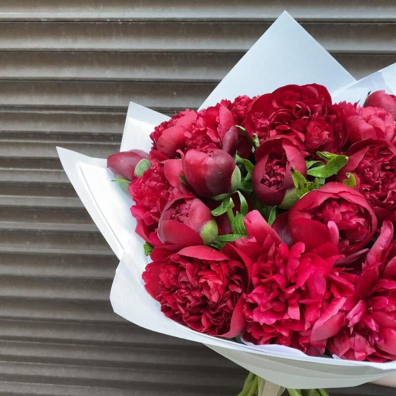 Пионы красные 25 штук (моно 077) Пионы красные 25 штук (моно 077)