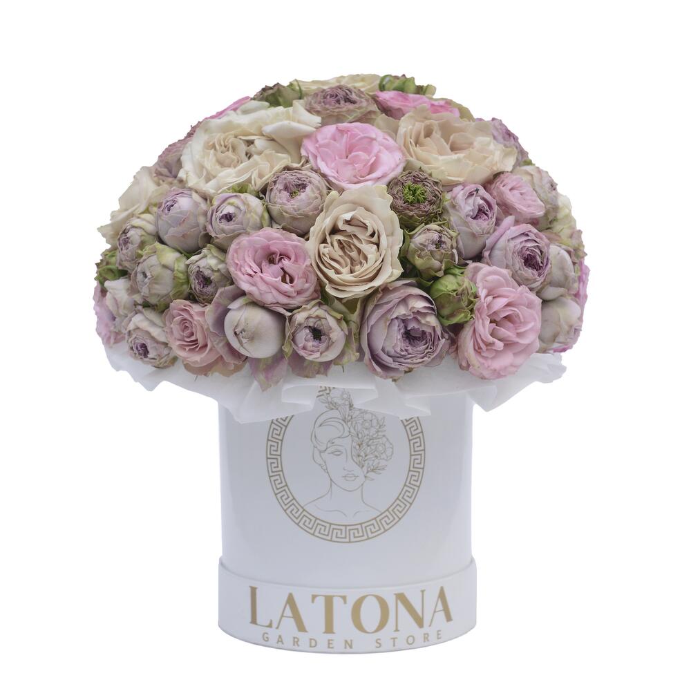 Фрея - пионовидные розы