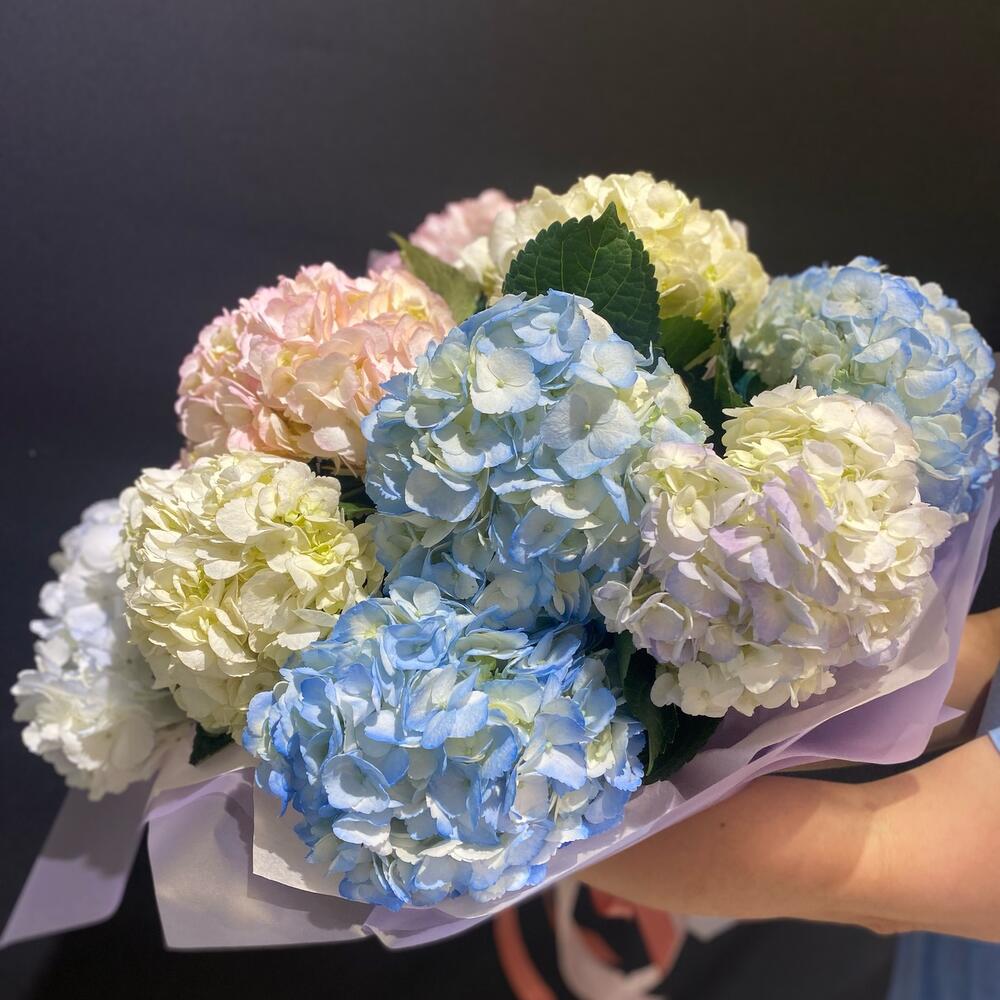 Нежное облачко